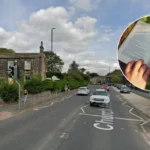 Horsforth Head's Roxie Fawn Book: Wellbeing Triumph