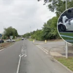 Leeds Driver Narrowly Escapes After Scott Hall Road Tree Crash