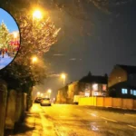 Pudsey Leeds History, Parks, Transport and Suburban Life Guide