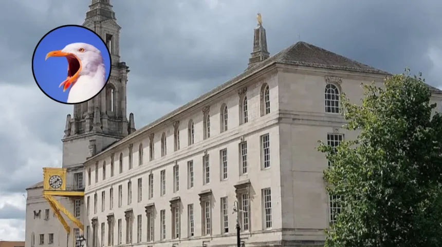 Bird Flu Alert: Temple Newsam Dogs on Leads Leeds 2026