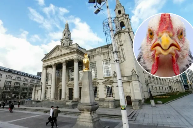 Bird Flu Hits Yeadon Tarn: Leeds Council Warns Public 2026