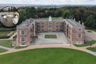 Bird Flu at Temple Newsam: Keep Dogs on Leads, Leeds 2026