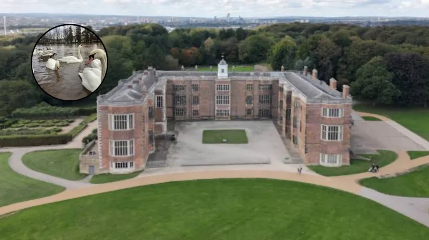 Bird Flu at Temple Newsam: Keep Dogs on Leads, Leeds 2026