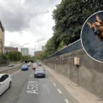Leeds Puppy Theft Police Hunt Aaron Conlon, Fowler, Baines
