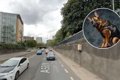 Leeds Puppy Theft Police Hunt Aaron Conlon, Fowler, Baines