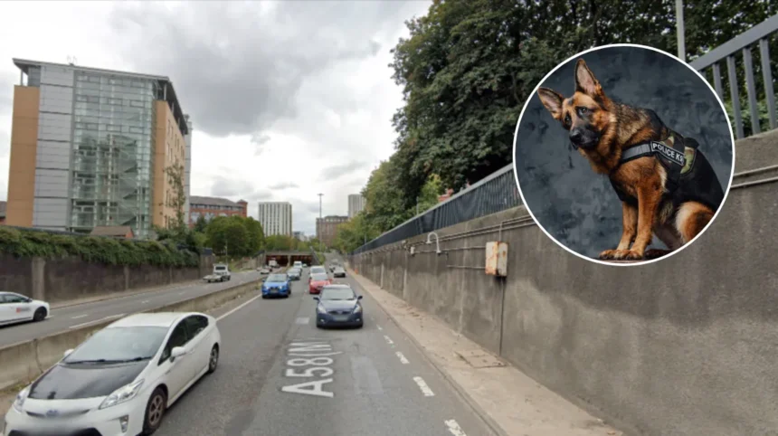 Leeds Puppy Theft Police Hunt Aaron Conlon, Fowler, Baines