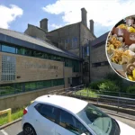 New Wild Spore Mushrooms Debut at Horsforth Farmers’ Market