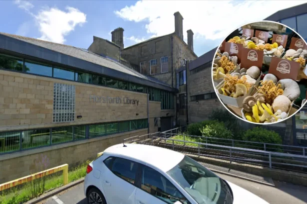 New Wild Spore Mushrooms Debut at Horsforth Farmers’ Market