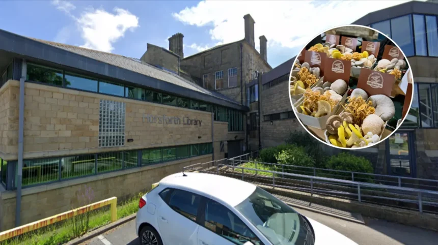 New Wild Spore Mushrooms Debut at Horsforth Farmers’ Market