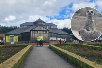 Top Kids Activities in Leeds: Family Fun at Roundhay & Museums