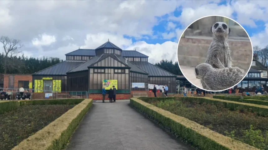 Top Kids Activities in Leeds: Family Fun at Roundhay & Museums