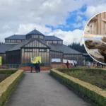 Why Leeds is Perfect for Families: Top Attractions & Neighborhoods