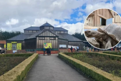 Why Leeds is Perfect for Families: Top Attractions & Neighborhoods