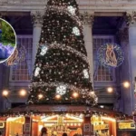 Horsforth Purple Litter Pick Leeds 2026