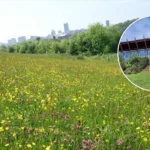 Leeds Farm Shut: £18k Loss, Urgent Repairs 2026