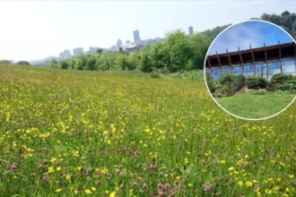 Leeds Farm Shut: £18k Loss, Urgent Repairs 2026