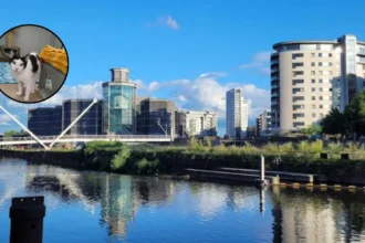 Leeds Woman's Purr-fect Shift: Teacher to Cat Carer in Morley, Pudsey 2026