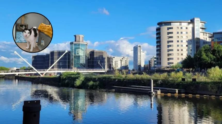 Leeds Woman's Purr-fect Shift: Teacher to Cat Carer in Morley, Pudsey 2026