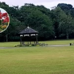 Horsforth Hall Park Ward By-Election Candidate Profiles 2026