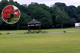 Horsforth Hall Park Ward By-Election Candidate Profiles 2026