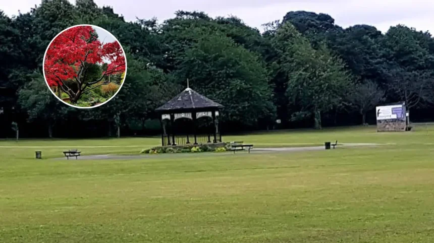 Horsforth Hall Park Ward By-Election Candidate Profiles 2026