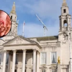 Leeds Council Reviews Rules for Babies in 18-Rated Films 2026