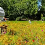 Pudsey Park Glasshouse Jungle Cafe by JungleBox 2026