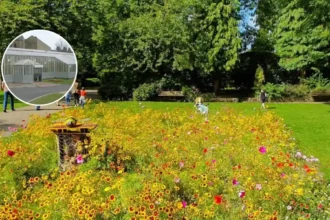 Pudsey Park Glasshouse Jungle Cafe by JungleBox 2026