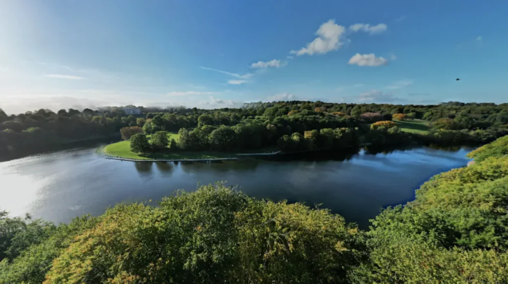 Where Can Older People Find Free Activities in Leeds