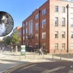 Four Peregrine Falcon Chicks Hatch at Leeds University 2026