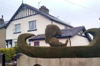 Horsforth Travel Guide: Attractions, Cafés, Walks and Local Experiences