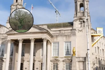 Leeds Council Warns on Ash Dieback Trees Leeds 2026