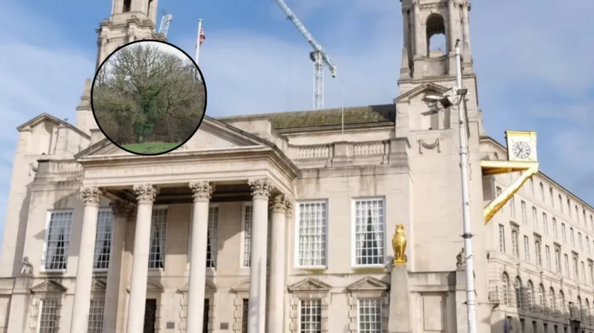 Leeds Council Warns on Ash Dieback Trees Leeds 2026