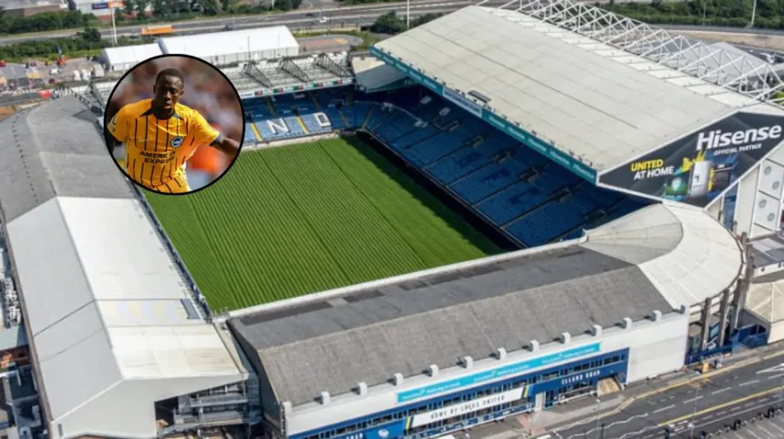 Leeds United vs Brighton: Final Home Game Secures Top-Flight Status 2026; Leeds