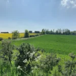 Best Hidden Attractions in Garforth for an Authentic Weekend Escape