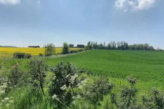 Best Hidden Attractions in Garforth for an Authentic Weekend Escape