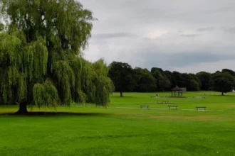 Best Places for Reading and Relaxing in Horsforth Local Guide