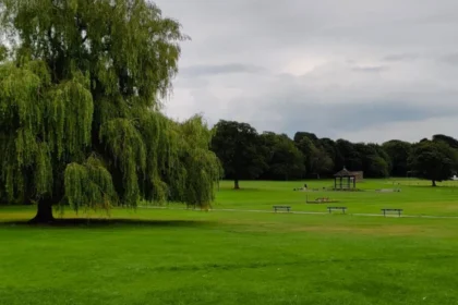 Best Places for Reading and Relaxing in Horsforth Local Guide