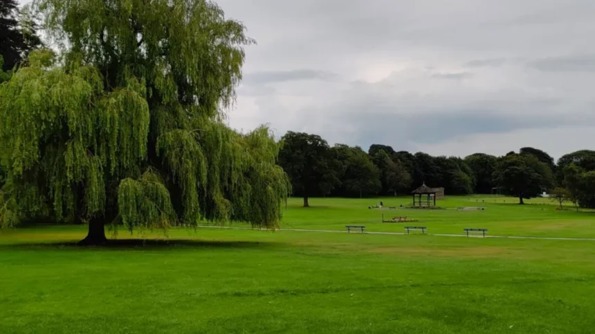 Best Places for Reading and Relaxing in Horsforth Local Guide