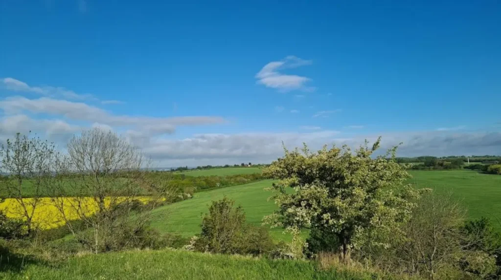 Can you extend a Garforth dog walk into the surrounding countryside