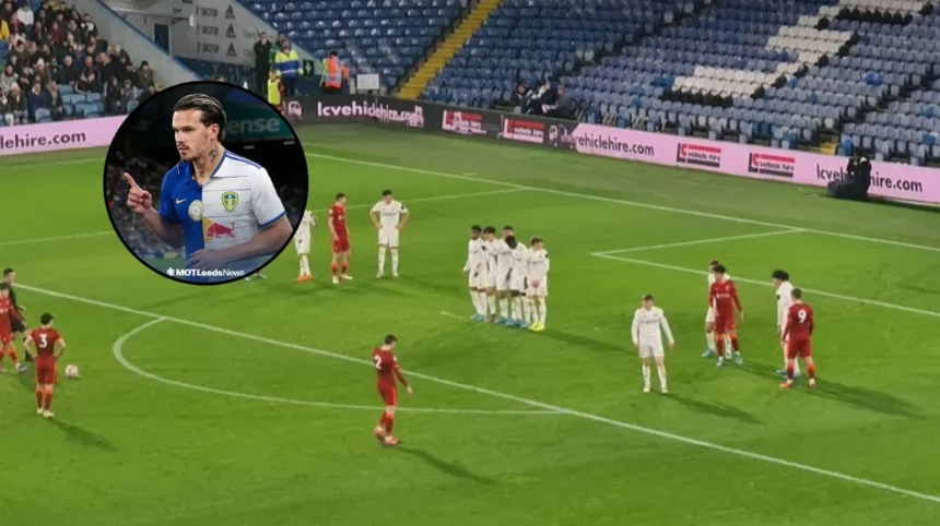 Daniel Farke Addresses Rejected Leeds Bid for Chelsea's Mykhailo Mudryk Leeds 2026