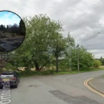 Free Art Workshops Host Events in West Leeds Orchards 2026
