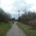 Garforth Dog-Friendly Places and Walks Guide