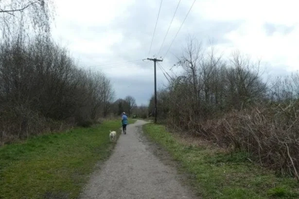 Garforth Dog-Friendly Places and Walks Guide