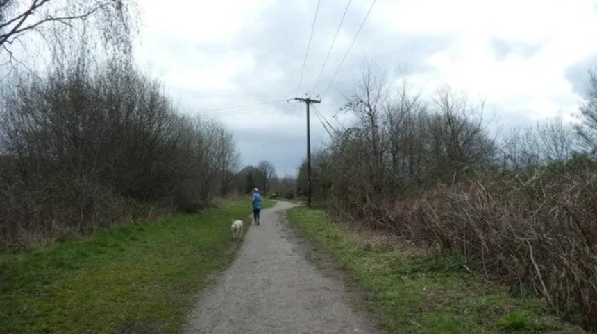 Garforth Dog-Friendly Places and Walks Guide