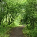 Garforth Nature Spots Green Spaces Guide 2026