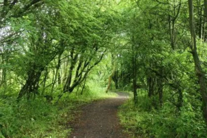 Garforth Nature Spots Green Spaces Guide 2026