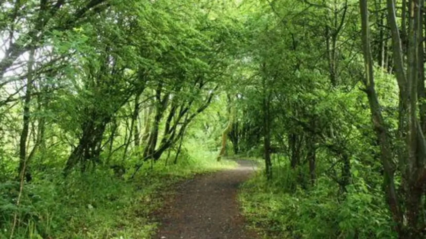 Garforth Nature Spots Green Spaces Guide 2026