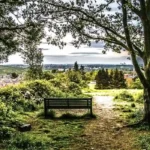 Horsforth Nature Walks and Green Spaces to Explore Horsforth, Leeds 2026