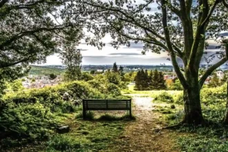 Horsforth Nature Walks and Green Spaces to Explore Horsforth, Leeds 2026